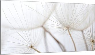 OEM Placa De Protecci&oacute;n De Estufa De Vidrio 90x52 Flor