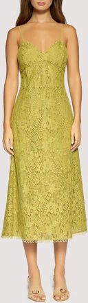 Lost + Wander Serafina Floral Lace Cotton Blend Midi Dress in Green at Nordstrom, Size X-Small