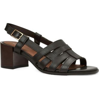 Aquatalia Dimaro Weatherproof Slingback Sandal in Espresso Vanchette at Nordstrom, Size 10.5
