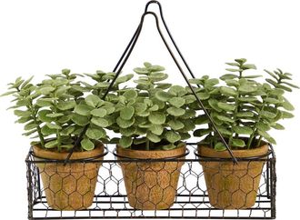 Nearly Natural 7-in Mini Jade Garden Artificial Plant in Hanging Planter in Green at Nordstrom