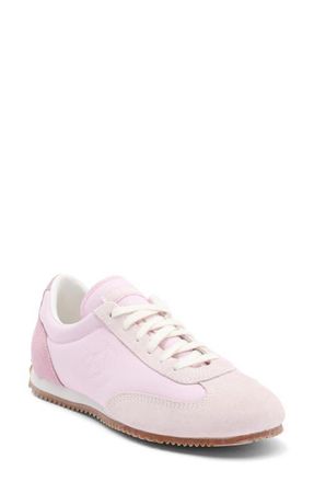 Converse Gender Inclusive Jogger Sneaker in New Found Bloom/Rose at Nordstrom, Size 4.5 Womens