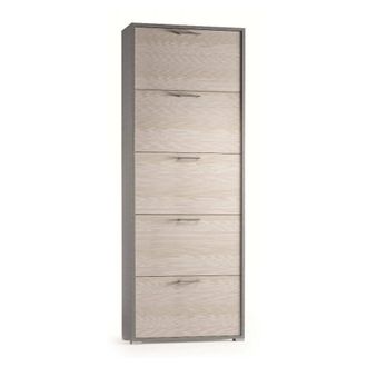 Dmora Zapatero Dmiano, Mueble De Entrada Polivalente Con 5 Puertas Abatibles, Zapatero De Doble Profundidad, 100% Made In Italy, 67x28h183 Cm, Alerce - Dmor