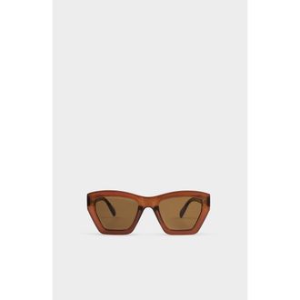 Katie Loxton Palma Sunglasses in Chocolate Transparent at Nordstrom