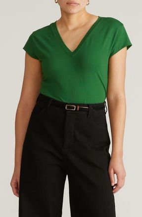 Universal Standard Ashley V-Neck T-Shirt in Green Park at Nordstrom, Size Xs