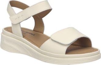 Josef Seibel Severan Ankle Strap Platform Wedge Sandal in Creme at Nordstrom, Size 11-11.5Us