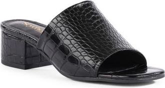 Seychelles Pepper Slide Sandal in Black at Nordstrom, Size 7.5