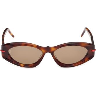 Christian Louboutin 55mm Cat Eye Sunglasses in Classic Havana /Gold /Zeiss at Nordstrom