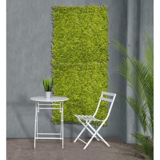Nortene Nortene - Intermas Seto Jardin Vertical 1x1 Mt Helecho Verde 2017258 Rollo