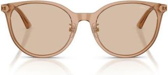 Jimmy Choo London 54mm Phantos Sunglasses in Transparent Tan /Light Brown at Nordstrom