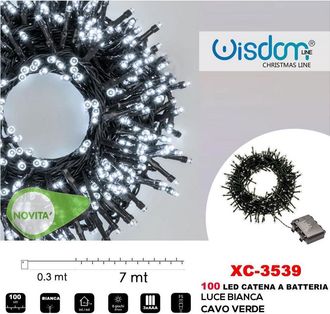 Trade Shop Trade Shop - Catena Luminosa 100led Lucciole Con Batteria Cavo Verde Luce Bianca Ip44 Xc-3539