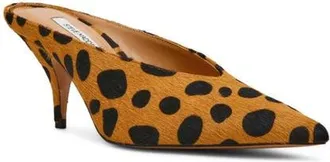 Steve Madden Fonza Pointed Toe Mule in Spot Leopard at Nordstrom, Size 8.5