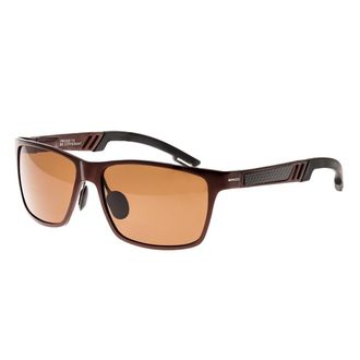 Breed Ras Pyxis titanium gepolariseerde zonnebril