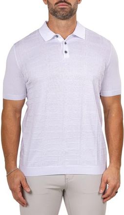 Maceoo Marthy White Polo at Nordstrom, Size 4