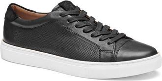 Johnston & Murphy Luther Perforated Leather Low Top Sneaker in Black Italian Full Grain at Nordstrom, Size 11.5