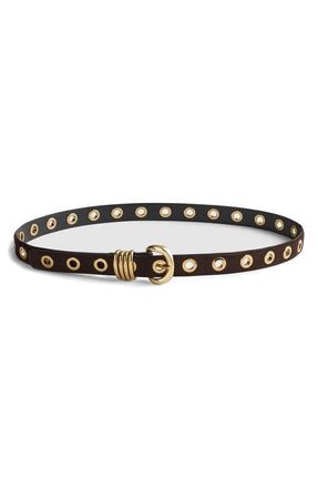 Madewell Metal Eyelet Suede Belt in Dark Carob at Nordstrom, Size X-Large