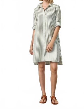Lilla P Striped Collared Shirt Dress In Pool Stripe