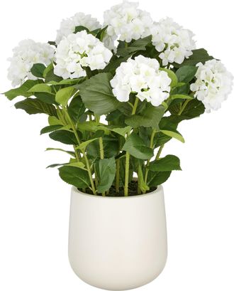 Creativ Green Kunstpflanze