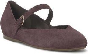 Lucky Brand Cyrena Mary Jane Flat in Winter Cherry Suede at Nordstrom Rack, Size 10