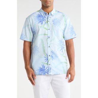 Kahala Night Shades Print Cotton Short Sleeve Button-Down Shirt in Silver Blue at Nordstrom, Size Xx-Large