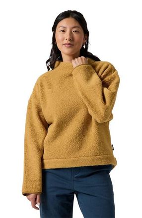 Backcountry Wander Pile-Fleece Mock-Neck Top - Womens in Bistre Combo at Nordstrom, Size X-Large