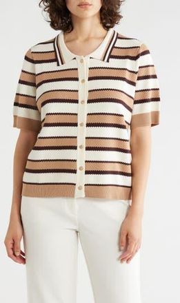 Adrianna Papell Stripe Polo Sweater in Chocolate Combo at Nordstrom Rack, Size X-Large