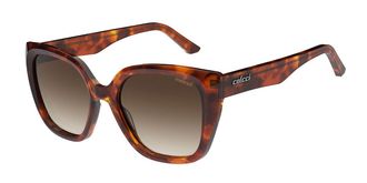 Colcci Bianca C0290J9034 Womens Sunglasses Tortoiseshell Size 51