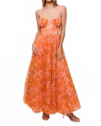 Hutch Amara Gown In Multi
