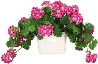 Creative Displays Inc. Handmade Faux Geranium Arrangement In Ceramic Vase