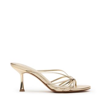 Steve Madden Edna Sandal CHAMP LEA