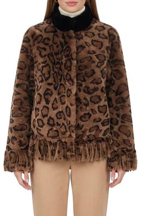 Gorski Genuine Shearling Jacket With Fringes in Lprd/black at Nordstrom, Size X-Small