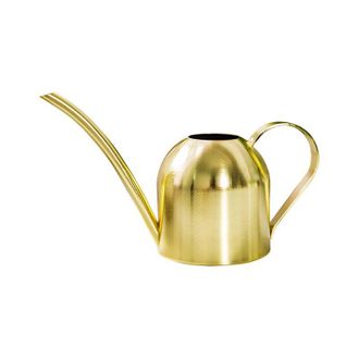 OEM Regadera De Acero Inoxidable De 500 Ml, Mini Estilo Moderno, Maceta Peque&ntilde;a, Boquilla Larga, Regadera De Jard&iacute;n, Regadera Para Plantas De Interior, Su