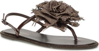Le Silla Womens Brown Calf Leather Bos Taurus Flat Sandals