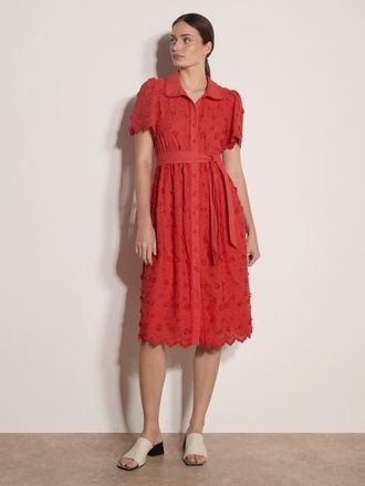 Apricot 3d Embroidered Cotton Midi Dress at Nordstrom, Size Xx-Large