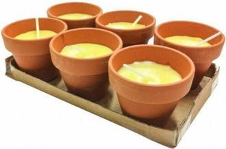 Trade Shop Trade Shop - Set 6 Pezzi Candela Alla Citronella Vaso Di Terracotta Coccio Anti Zanzare