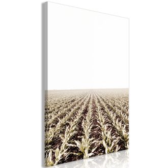 OEM Immagine - Campo Di Mais (1 Parte) Verticale