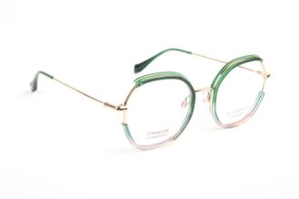 Ana Hickmann Optical Frame HI1279T C02 50 Titanium