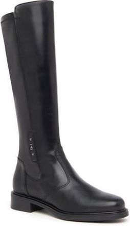 Nero Giardini Block Heel Tall Boot in Black at Nordstrom Rack, Size 8Us / 38Eu
