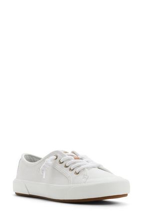 Sperry Top-Sider Pier Wave Low Top Sneaker in White at Nordstrom, Size 9.5