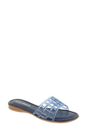 Andr&eacute; Assous Nabil Jelly Slide Sandal in Navy at Nordstrom, Size 7.5