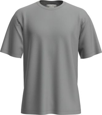 Icebreaker Merino 150 Tech Lite S/S Relaxed Tee Merinoshirt f&uuml;r Herren | grau