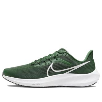 Nike Air Zoom Pegasus 39 Turbo Gorge Green DM0164-300