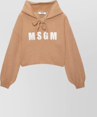 Msgm hooded cropped knitwear long sleeves