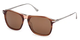 Web Eyewear Web WE0386 56E Mens Sunglasses Tortoiseshell Size 54