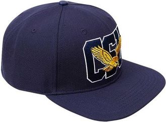 Pro Standard Mens Pro Standard Navy Coppin State Eagles Evergreen CSU Snapback Hat at Nordstrom