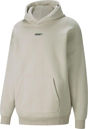 Puma Small Logo Hoodie Grey 534364-41