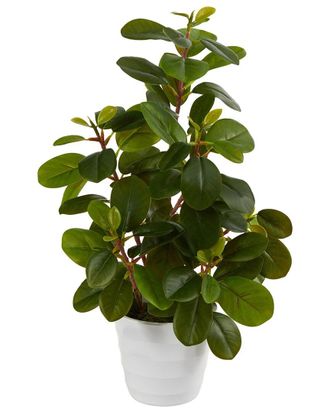 Nearly Natural 16in Peperomia Artificial Plant in Decorative Planter