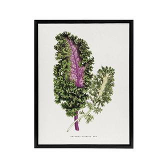 Artery8 AF Lydon Benjamin Fawcett Green Wild Cabbage Leaf Framed Canvas Art in White | Size: W24 x H32