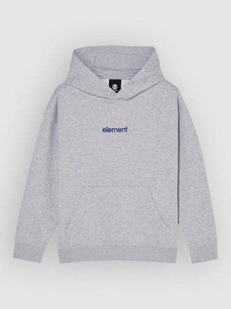 Element Lowcase Bp Kids Hoodie grijs