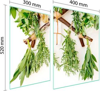 OEM Placa Protectora De Vidrio Para Estufa 70x52 Hierbas