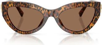 Dolce & Gabbana 55mm Cat Eye Sunglasses in Leo Transparent /Dark Brown at Nordstrom